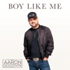 Aaron Goodvin - Boy Like Me
