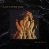 Blame It On the Water - Single