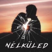 Nélküled artwork