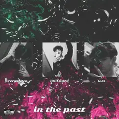 In the Past (feat. evergxrden & teki) - Single by Luv$ayed album reviews, ratings, credits