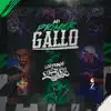Mi Primer Gallo - Single album lyrics, reviews, download