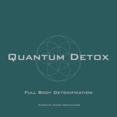 Quantum Detox (Full Body Detoxification) - Single artwork