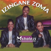Msholozi artwork