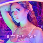 Into the Night (Extended Mix) artwork