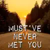Must've Never Met You (Instrumental) - Single album lyrics, reviews, download