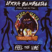 Feel the Vibe (Extended Club Mix) artwork
