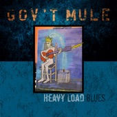 Gov't Mule - Feel Like Breaking Up Somebody's Home