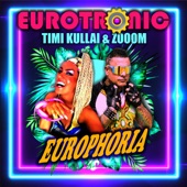 Europhoria artwork