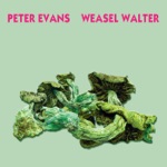 Peter Evans & Weasel Walter - Satan's Boletus