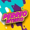 Mega Perreo Brasileño - Perreo Intenso