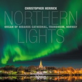 Northern Lights - Nidaros Cathedral, Trondheim artwork
