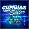 Ramón Ayala y Sus Bravos del Norte - Para Poder Llegar A Ti