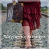 Haystack Mountain Hermits - Wayfaring Stranger