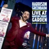 Harrison Greenbaum - Big Illusion 1