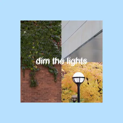 Dim the Lights - Single - Batà