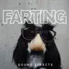 Farting Sound Effects song lyrics