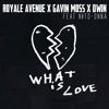 What Is Love (feat. Nito-Onna) - Single