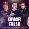 Amor Falso (feat. Mc Kevinho) - Single, 2018