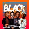 ANSYEN BLACK (feat. Troubleboy Hitmaker, Steves J. Bryan & MechansT) [Remix] [Remix] - Single