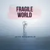 Stream & download Fragile World - Single