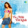 Tu Mile Dil Khile - Single