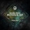 Mitosis - Universal Project lyrics
