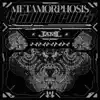 Metamorphosis - Single album lyrics, reviews, download