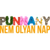 Nem Olyan Nap artwork