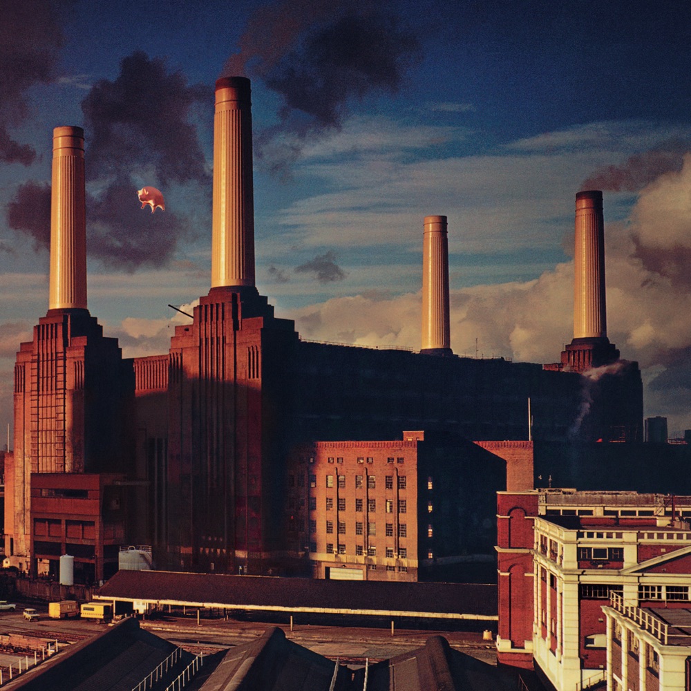 Animals by Pink Floyd