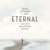 Eternal (Dim V Mib Remix) artwork