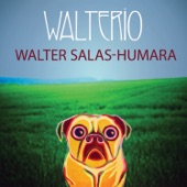 Walter Salas-Humara - She's a Caveman