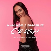 Crush (feat. Sharliz) [The Distance; Igi Remix] artwork