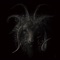 Shape of Death (feat. Sugizo) - Aoki Yutaka lyrics