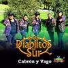 Cabrón y Vago - Single