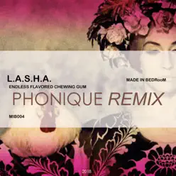 Endless Flavored Chewing Gum - Single - Lasha Endless Flavored Chewing Gum - Single - Lasha
