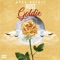 No Roses (feat. JoJizzle) - Guru Goldie lyrics