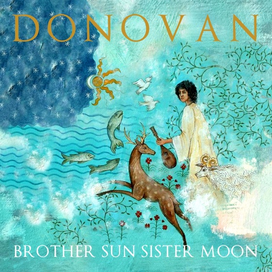 Cover artwork for Shape In the Sky