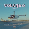 Volando (Remix) - Single, 2021