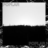 Poplar by Michigander