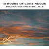 10 Hours of Continuous Bird Sounds and Bird Calls album lyrics, reviews, download