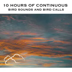 10 Hours of Continuous Bird Sounds and Bird Calls by White Noise Radiance & Bird Sounds album reviews, ratings, credits