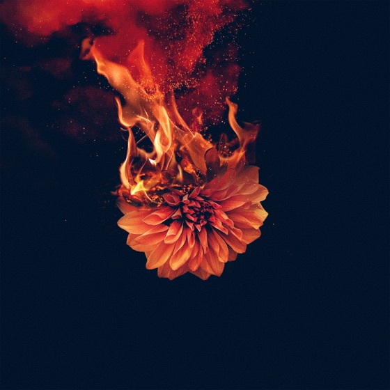Cover artwork for Shadows