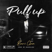 Pull Up artwork