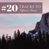 #20 Tracks to Release Stress artwork
