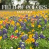 Field of Colors