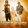 Alta Gama (feat. Ozuna) [Remix] song lyrics