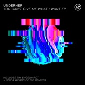You Can't Give Me What I Want (Tim Engelhardt Remix) artwork