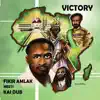 Stream & download Fikir Amlak and Kai Dub - Victory