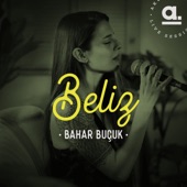 Bahar Buçuk (Live) artwork