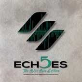 Echoes 5 artwork